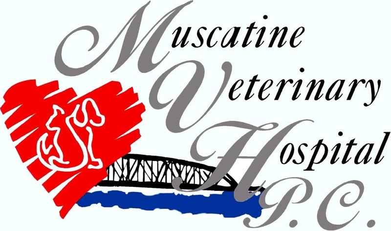 Muscatine Veterinary HospitalMuscatine Veterinary Hospital logo